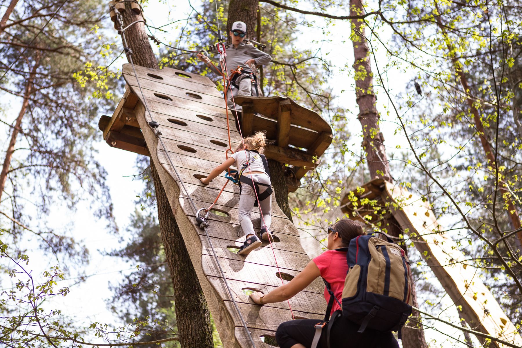 visitors on a course in a treetop adventure park